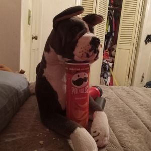 Meet your Posher, Robert